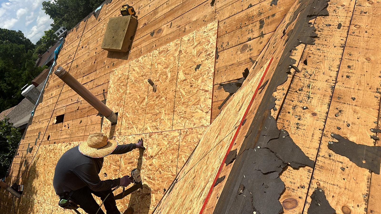 WhatsApp Image 2026-01-30 at 09.37.11